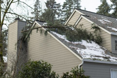 Roof Damage